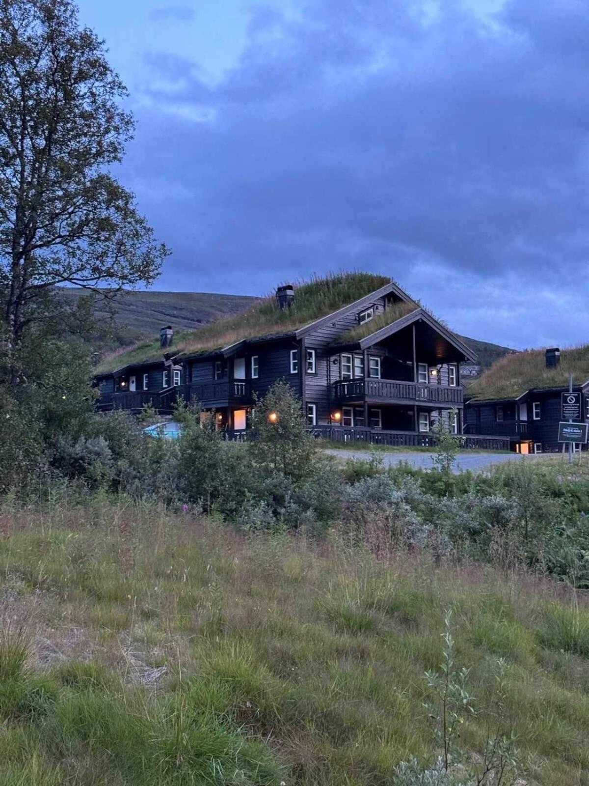 Bo Lunt Og Koselig Pa Filefjell Appartement Tyinkrysset Buitenkant foto